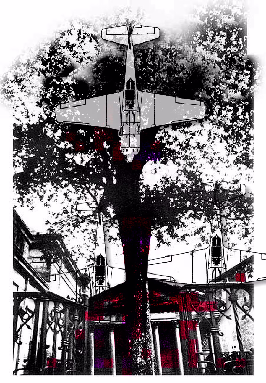 Plane in the Branches