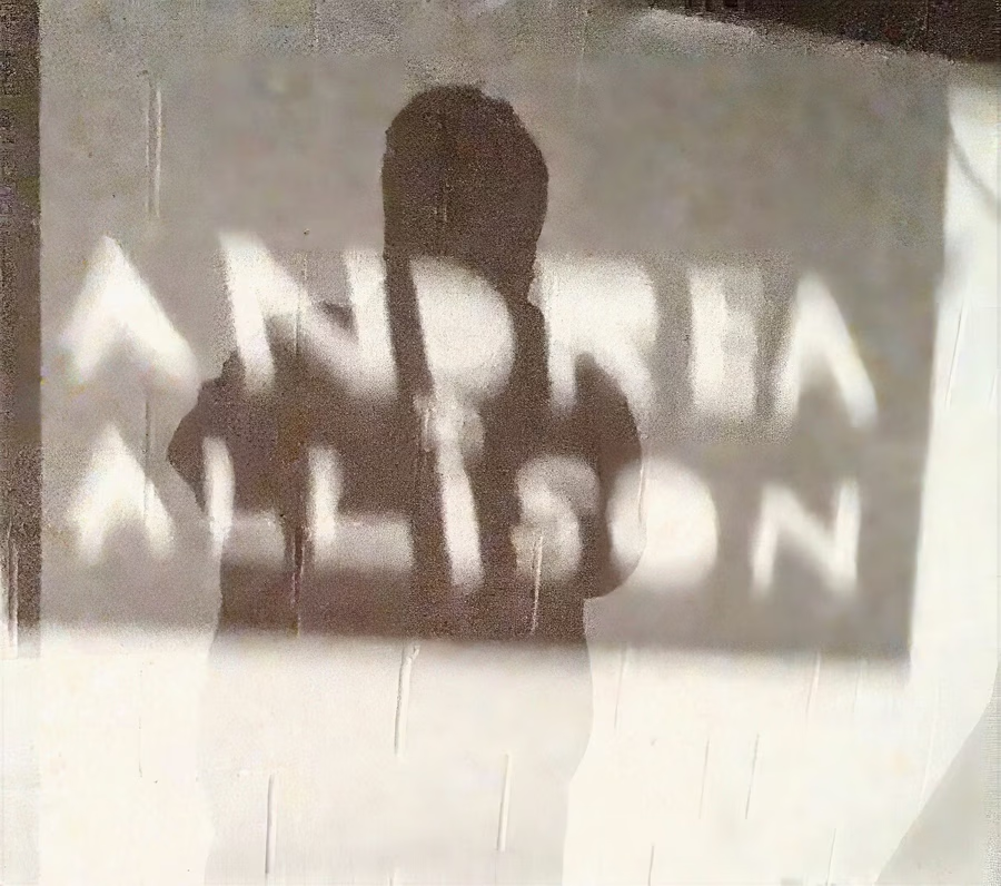 Untitled (Andrea Allison Shadow)