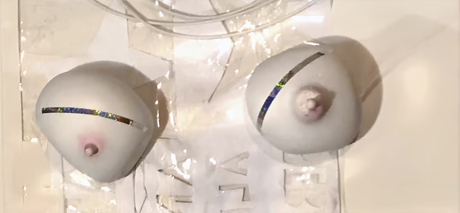 Two Breast Forms