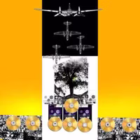 Tree of Discs, 2010