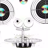 Target Face with Warplane, 2010