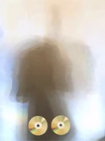 Shadow Profile with Discs, 2010