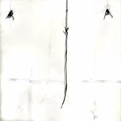 Untitled (Suspended Cord)