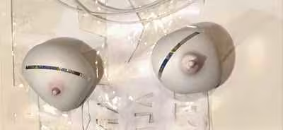 Two Breast Forms