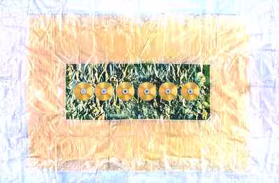 Six Discs on Foil